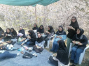 برگزاری جشن دهه کرامت در پژوهشکده توسعه صنایع شیمیایی ایران  با حضور در دامان طبیعت